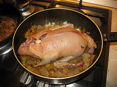 click for enlarge 800 X 600 154,7 Kb picture