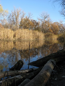 click for enlarge 600 X 800 278,6 Kb picture