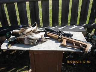 click for enlarge 800 X 600 162,8 Kb picture