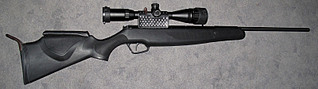 click for enlarge 1600 X 447 129.3 Kb