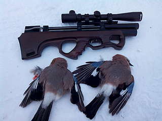 click for enlarge 1920 X 1440 160.4 Kb