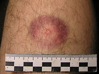 click for enlarge 1920 X 1436 423,6 Kb picture