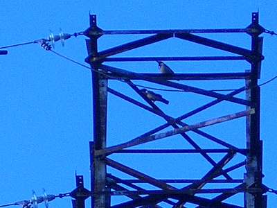 click for enlarge 640 X 480  83.1 Kb picture