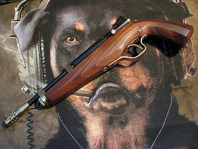 �������, ��� �� ��������� �������� �� 1024 X 768 350.9 Kb