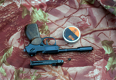 click for enlarge 700 X 482 457.6 Kb