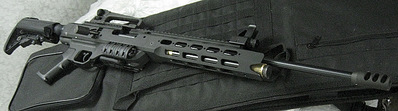 click for enlarge 800 X 223 51.9 Kb