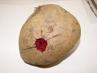 click for enlarge 980 X 735 87,1 Kb picture