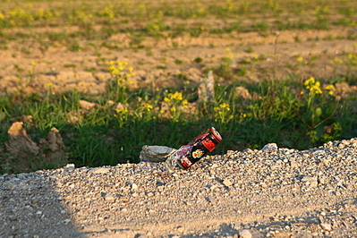 click for enlarge 1920 X 1280 263,1 Kb picture