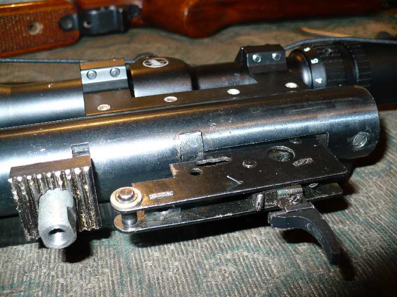 800 x 600