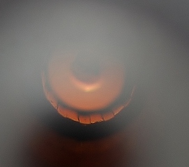 click for enlarge 641 X 566 185,1 Kb picture