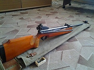 click for enlarge 400 X 300  34.5 Kb picture
