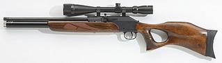click for enlarge 476 X 136  12,9 Kb picture