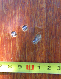 click for enlarge 600 X 777 287.6 Kb picture