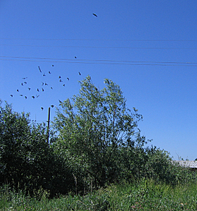 click for enlarge 600 X 644 360.1 Kb picture