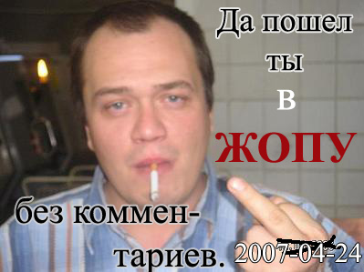 399 x 299