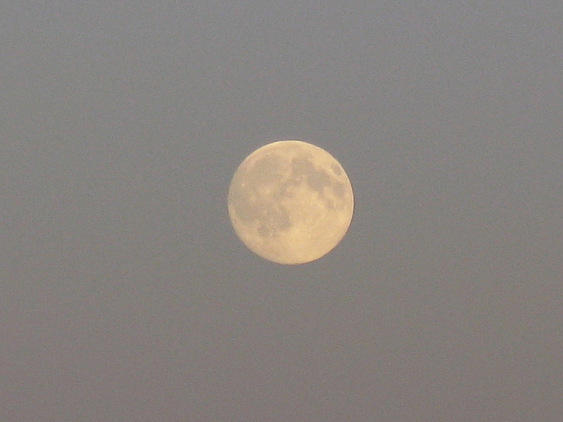 click for enlarge 1920 X 1440 470,3 Kb picture