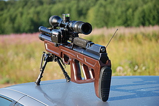 click for enlarge 800 X 536 157,1 Kb picture