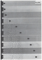 click for enlarge 290 X 416 354,3 Kb picture