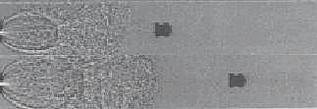click for enlarge 323 X 111   5,3 Kb picture