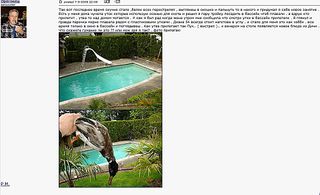 click for enlarge 1242 X 758 153,7 Kb picture
