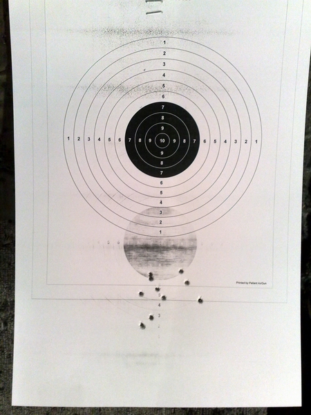 450 x 600