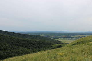 click for enlarge 1920 X 1280 180.0 Kb