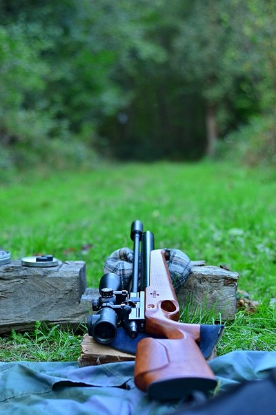 click for enlarge 667 X 1000 201.2 Kb