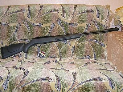 click for enlarge 615 X 461  95,7 Kb picture