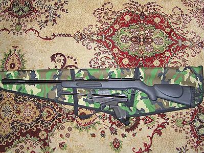 click for enlarge 615 X 461 112,5 Kb picture