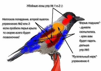 click for enlarge 900 X 633 113,4 Kb picture