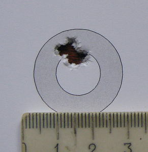 click for enlarge 1102 X 1134 154,4 Kb picture