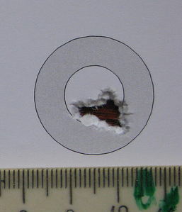 click for enlarge 1017 X 1184 150,8 Kb picture