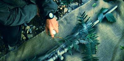 click for enlarge 720 X 356  43,8 Kb picture