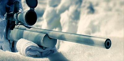 click for enlarge 720 X 355  30,7 Kb picture