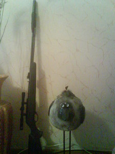 click for enlarge 1200 X 1600 304,0 Kb picture