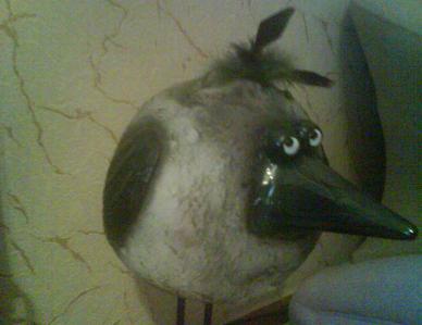 click for enlarge 1507 X 1163 191,1 Kb picture