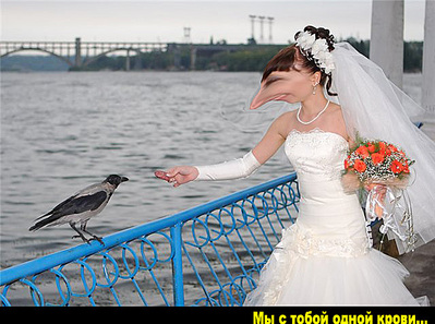 click for enlarge 640 X 476 119,1 Kb picture