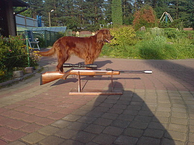 click for enlarge 1920 X 1440 639,4 Kb picture