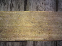 click for enlarge 1920 X 1440 772,7 Kb picture