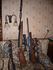 click for enlarge 1920 X 2560 658,7 Kb picture