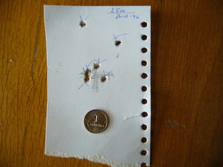 click for enlarge 1920 X 1440 480,1 Kb picture