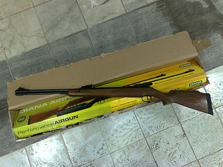 click for enlarge 1920 X 1440 525,5 Kb picture