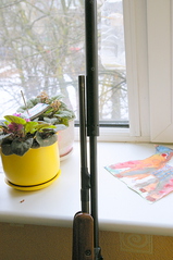 click for enlarge 532 X 800 212,7 Kb picture