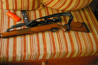 click for enlarge 800 X 532 350,8 Kb picture