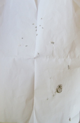 click for enlarge 1528 X 2349 916,7 Kb picture