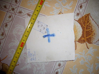 click for enlarge 1920 X 1440 883,5 Kb picture