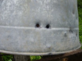 click for enlarge 1920 X 1440 380,7 Kb picture