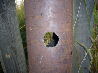 click for enlarge 1920 X 1440 740,8 Kb picture