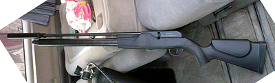 click for enlarge 1459 X 442 498,5 Kb picture