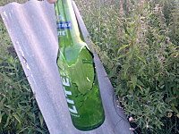 click for enlarge 1600 X 1200 509,5 Kb picture